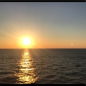 Meet your Posher, Janine